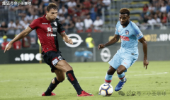 慕尼黑安联球场将送来欧冠决赛史上初次“法意